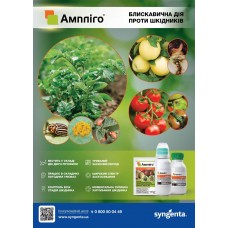 Ампліго 150 ZC, ФК Ампліго 150 ZC, ФК